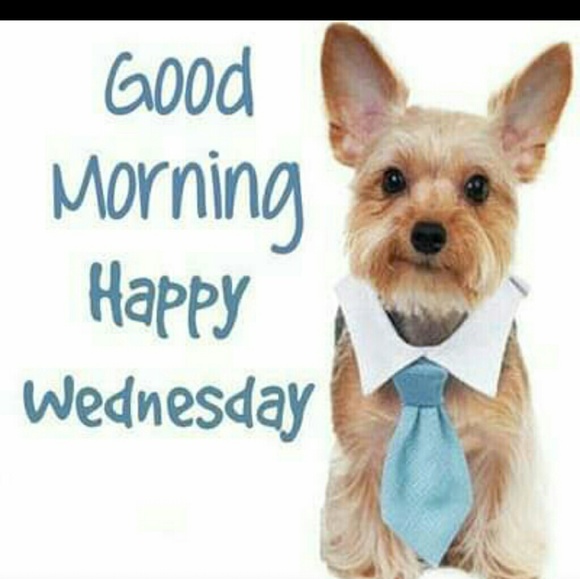 Meet your Posher, Bianca - Picture 1 of 1